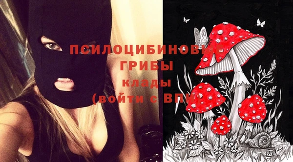 бутират Арсеньев