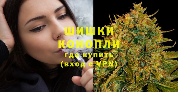 марки lsd Новозыбков